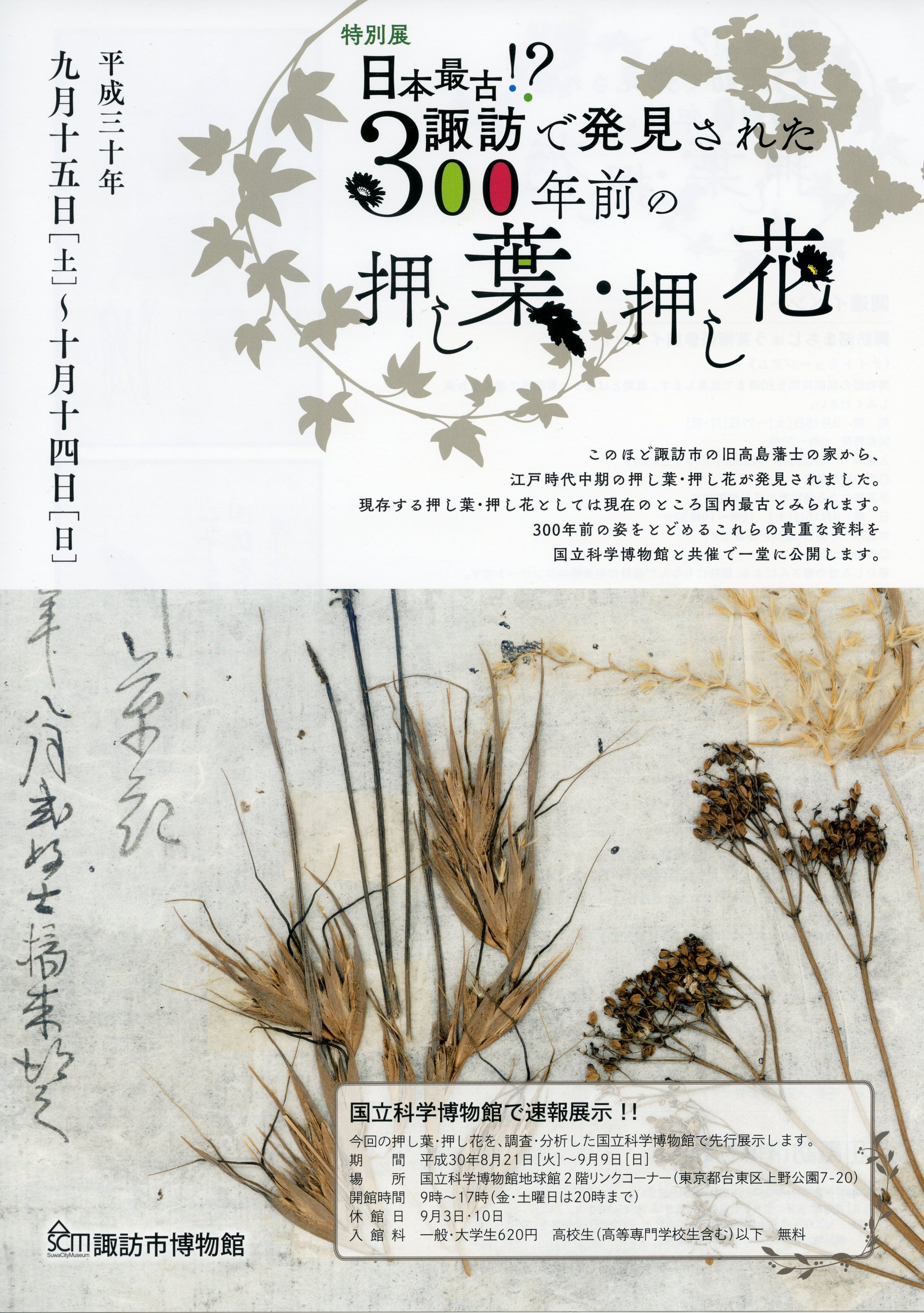 日本最古！？諏訪で発見された３００年前の押し葉・押し花